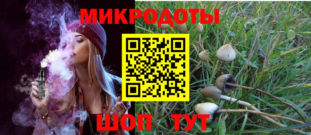 закладки  Галлюциногенные грибы ЛСД  Псилоцибиновые грибы Psilocybine cubensis  Вход с VPN  Майский 